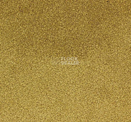 Ковролин Edel Ambition 146 фото 1 | FLOORDEALER