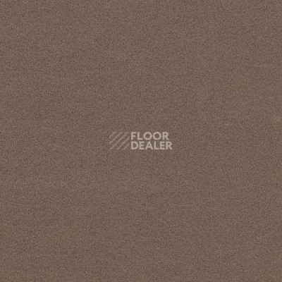 Ковролин Flotex Artline 211081 фото 1 | FLOORDEALER