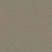 Ковролин Big Caractere 334 фото 1 | FLOORDEALER