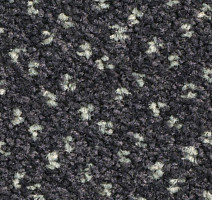 Ковролин Balsan Capitol Capitol 980 фото 1 | FLOORDEALER