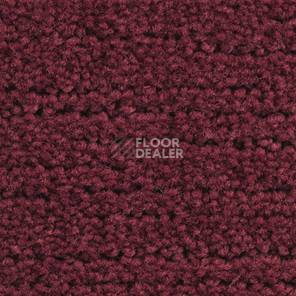 Ковролин Balsan Ecorce Ecorce 585 фото 1 | FLOORDEALER