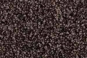 Ковролин Edel Chavelli 183 фото  | FLOORDEALER