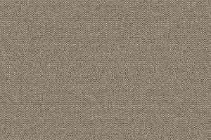 Ковролин Big Caractere 334 фото  | FLOORDEALER