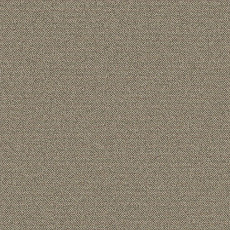 Ковролин Big Caractere 334 фото 1 | FLOORDEALER