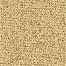 Ковролин Balsan Les Best 620 фото 1 | FLOORDEALER