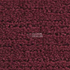 Ковролин Balsan Ecorce Ecorce 585 фото 1 | FLOORDEALER