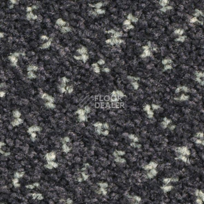 Ковролин Balsan Capitol Capitol 980 фото 1 | FLOORDEALER