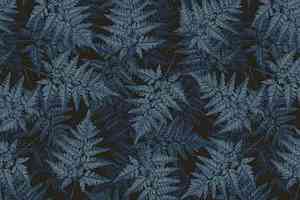 Ковролин Ege Highline Nature rf 5500650 фото  | FLOORDEALER