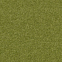 Ковролин Associated Weavers Maxima 21  | FLOORDEALER