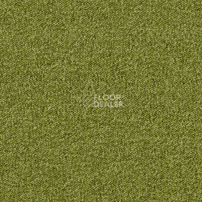 Ковролин Associated Weavers Maxima 21 фото 1 | FLOORDEALER