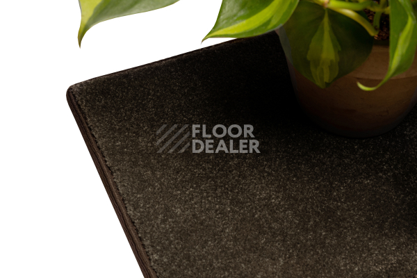 Ковролин Haima STONE (Стоун) 44 Brown фото 5 | FLOORDEALER