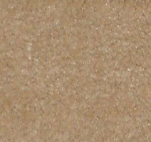 Ковролин Shaw all That Jazz 21122 фото 1 | FLOORDEALER