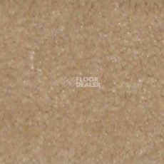 Ковролин Shaw all That Jazz 21122 фото 1 | FLOORDEALER