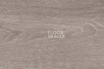 Пробковое покрытие Wood Xl Oak  Steel фото 1 | FLOORDEALER