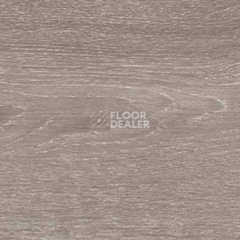 Пробковое покрытие Wood Xl Oak  Steel фото 1 | FLOORDEALER