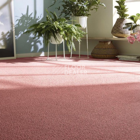 Vorwerk Essential 1008 Vorwerk 1m33 фото 3 | FLOORDEALER