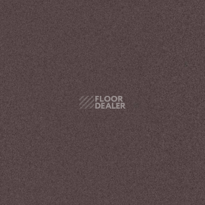 Линолеум Tarkett iq Melodia 2617 фото 1 | FLOORDEALER