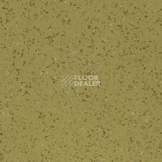 Линолеум DLV Flooring Perfect Safety 5657 фото 1 | FLOORDEALER