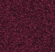 Ковролин Balsan First Class 580 фото 1 | FLOORDEALER