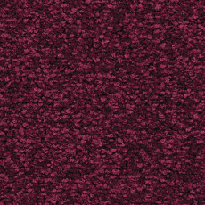 Ковролин Balsan First Class 580 фото 1 | FLOORDEALER