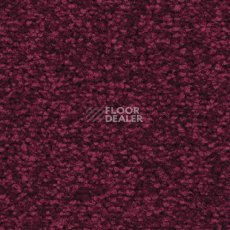 Ковролин Balsan First Class 580 фото 1 | FLOORDEALER