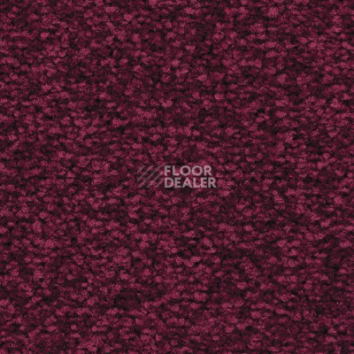 Ковролин Balsan First Class 580 фото 1 | FLOORDEALER