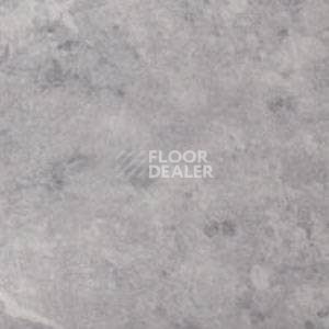 Линолеум Grabo Durity 4587-456 фото 1 | FLOORDEALER