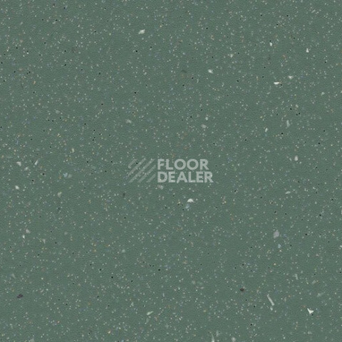 Линолеум Forbo SureStep Original 172362 kelp фото 1 | FLOORDEALER