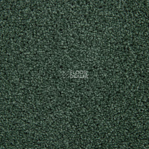Haima Noble 71 фото 9 | FLOORDEALER