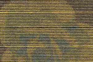 Ковровая плитка Desso Visions of Flowers 6117 фото  | FLOORDEALER