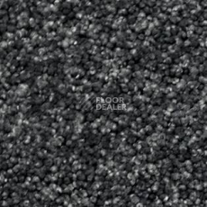 Ковролин AW Vivendi Vigour 98 фото 1 | FLOORDEALER