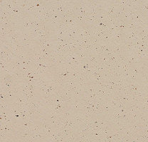 Линолеум Forbo Marmoleum Solid Cocoa 3590 meringue фото 1 | FLOORDEALER