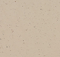 Линолеум Forbo Marmoleum Solid Cocoa 3590 meringue фото 1 | FLOORDEALER