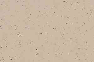 Линолеум Forbo Marmoleum Solid Cocoa 3590 meringue фото  | FLOORDEALER