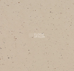 Линолеум Forbo Marmoleum Solid Cocoa 3590 meringue фото 1 | FLOORDEALER