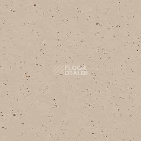 Линолеум Forbo Marmoleum Solid Cocoa 3590 meringue фото 1 | FLOORDEALER