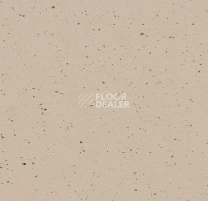 Линолеум Forbo Marmoleum Solid Cocoa 3590 meringue фото 1 | FLOORDEALER