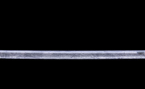 Tarkett Primo Plus 309 фото 3 | FLOORDEALER