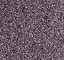 Ковролин Serene Beaulieu of America 02 фото 1 | FLOORDEALER