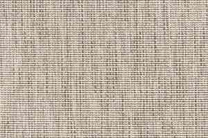 Ковролин Salix Salix 6302 68 фото  | FLOORDEALER