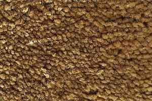 Ковролин Condor Carpets Bentley Bentley 204 фото  | FLOORDEALER