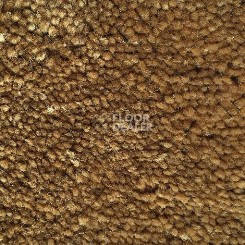 Ковролин Condor Carpets Bentley Bentley 204 фото 1 | FLOORDEALER