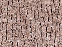 Balta ITC Elton 044 фото 1 | FLOORDEALER