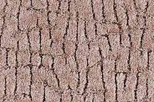 Ковролин Balta ITC Elton 044 фото  | FLOORDEALER