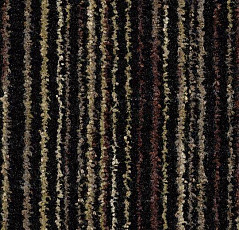 Грязезащитные покрытия Forbo Coral Welcome 3202 Desperadov фото 1 | FLOORDEALER