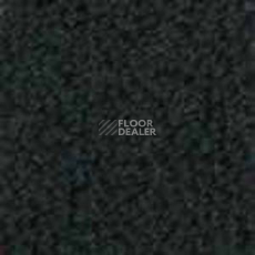 Ковролин Infloor Color 53 780 фото 1 | FLOORDEALER