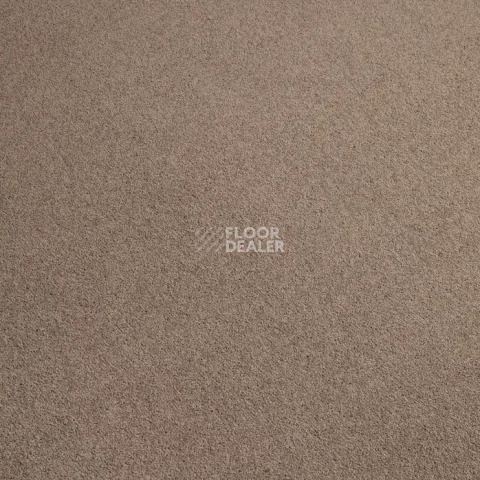 Haima Noble 99 фото 18 | FLOORDEALER