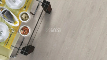 Kronotex Aqua Amazone 10мм D3597 Дуб Таймлес бежевый фото 2 | FLOORDEALER