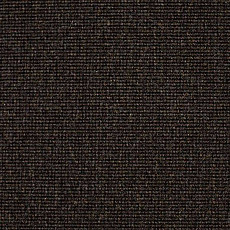 Ковролин Carpet Concept Eco 500 6956 фото 1 | FLOORDEALER