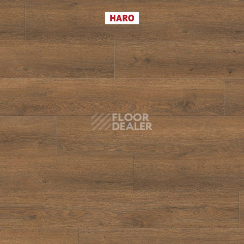 Haro Tritty 100 4V Дуб Флавия Дымчатый 544705 фото 2 | FLOORDEALER